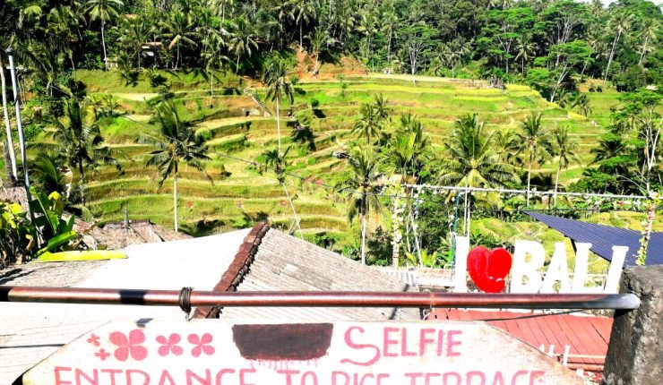 Self-Image and Social Media: A Critical&nbsp;Look