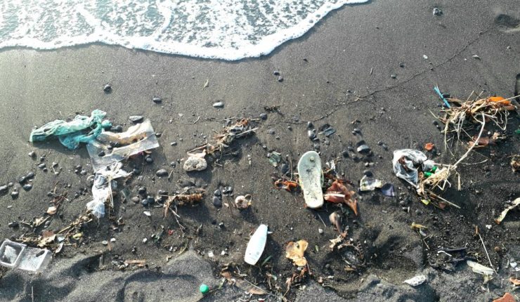 Natur und Tourismus: Erfahrungsbericht von Balis&nbsp;Delfintour