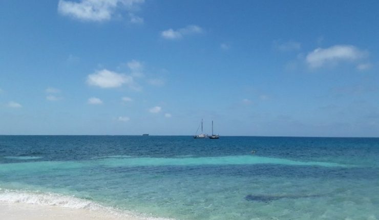 Travel Life in Times of Coronavirus&nbsp;Pandemic